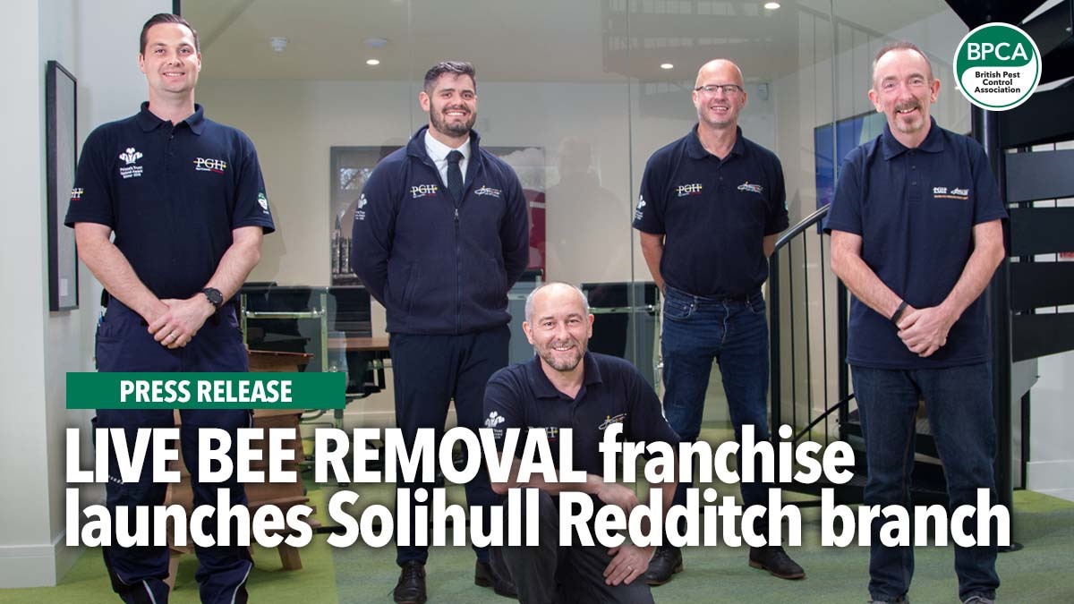 live-bee-removal-franchise-launches-branch
